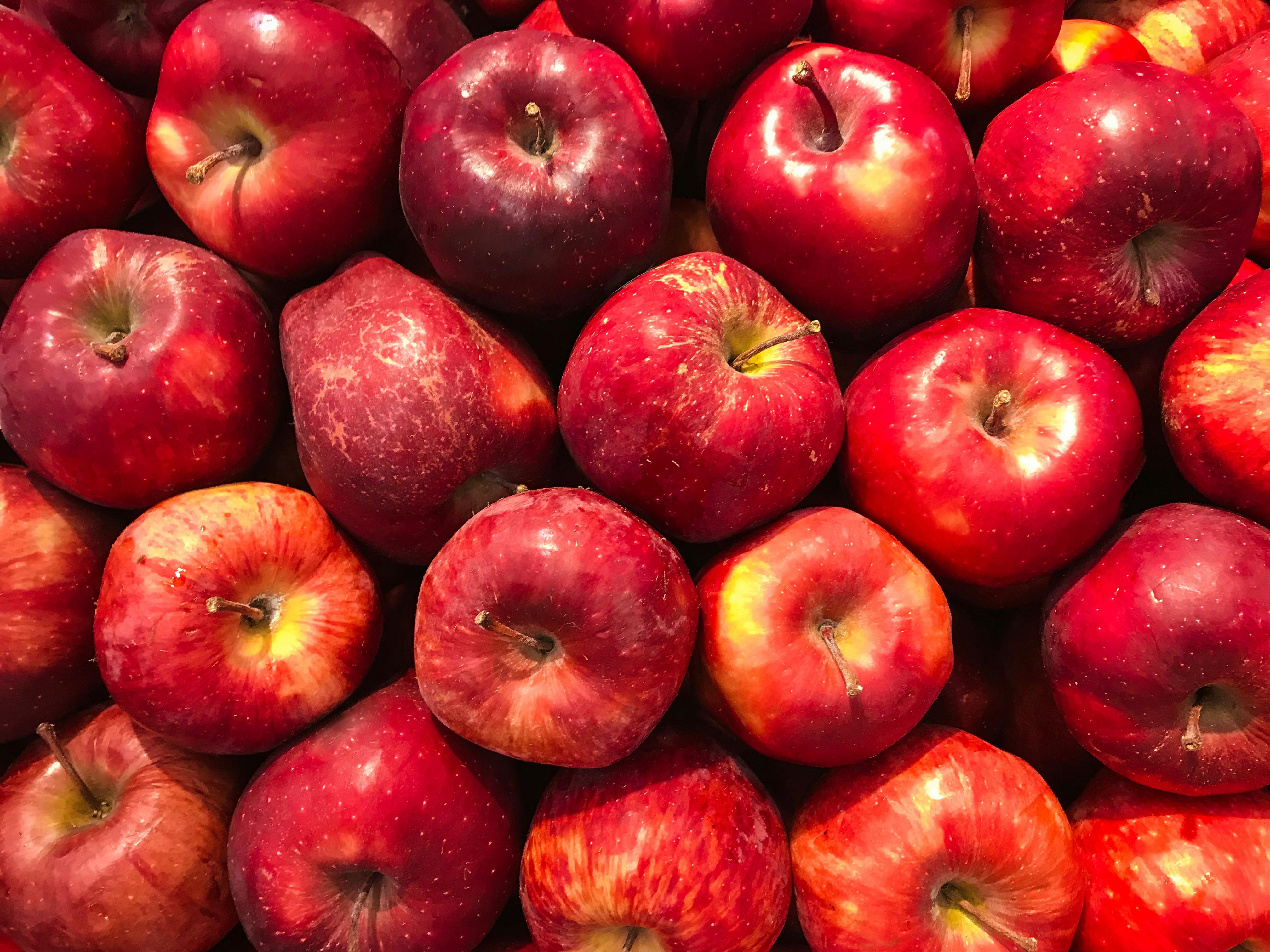 Fresh Apples